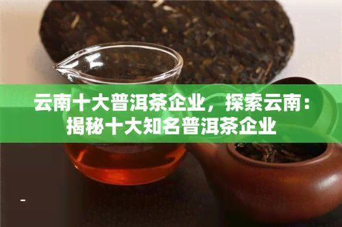 云南普洱茶十大厂家排行榜 一览知名茶厂与优质产品